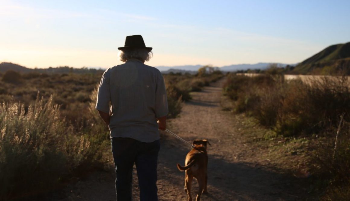 Bo Menart walking brown dog in desert